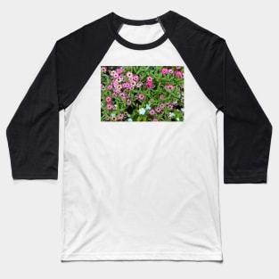 A Bee & Pink Flowers Baseball T-Shirt